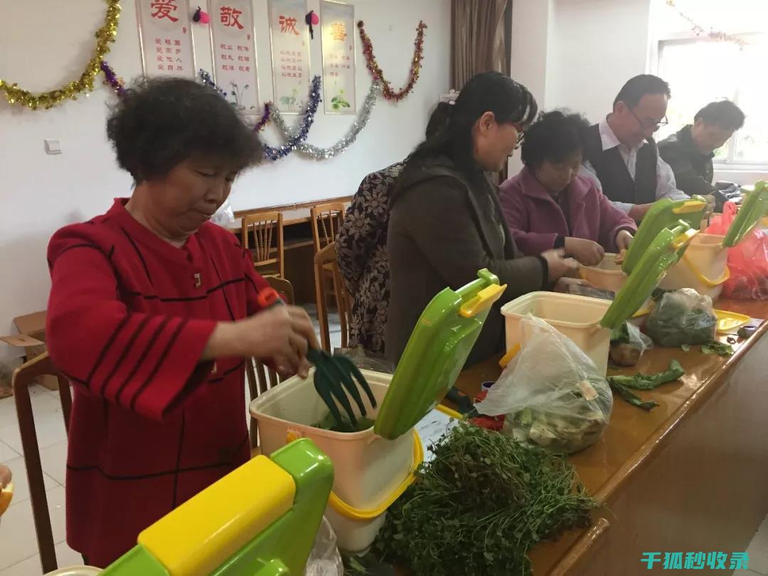 厨余堆肥：打造绿色家园的秘诀 (厨余堆肥肥力是不是不太足)