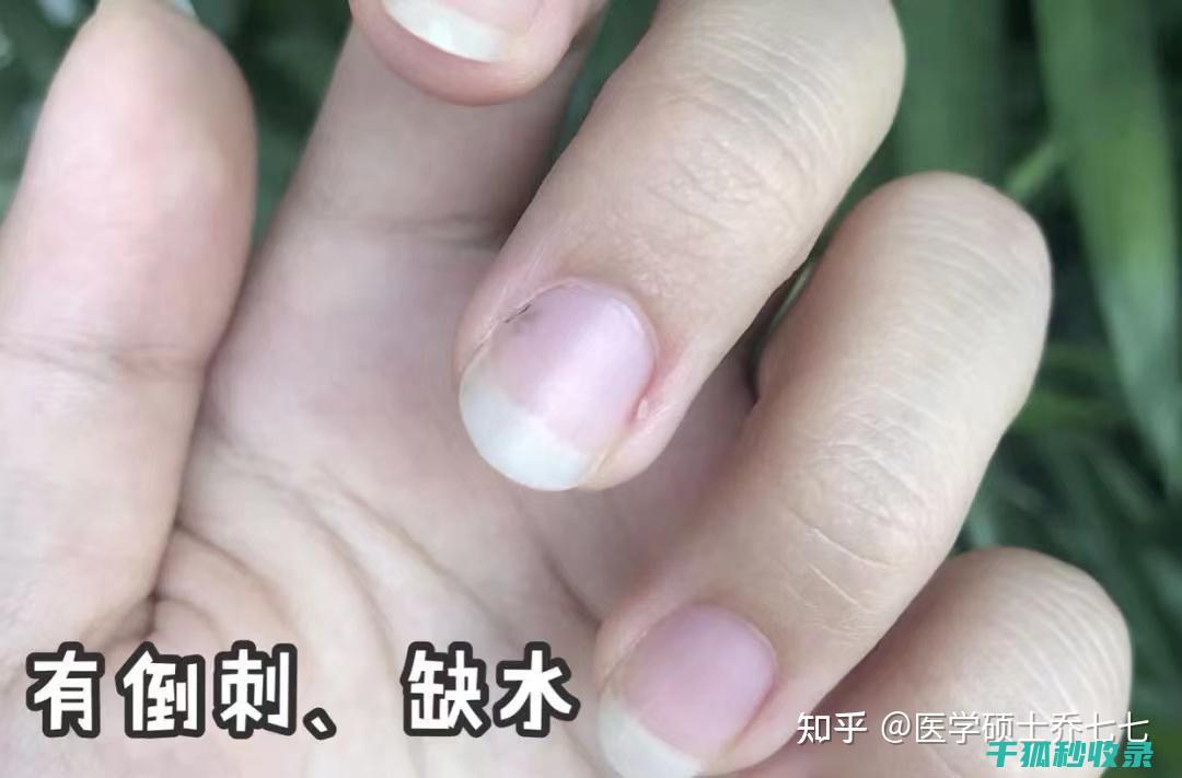 护手霜选购误区：你可能一直在犯的错误 (护手霜选购误区分析)