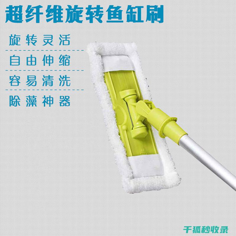 水族箱清洁技巧：如何安全清理藻类 (水族箱清洁技术要求)