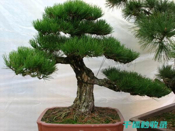 植物病虫害防治：如何在生态系统中保持平衡 (植物病虫害防治考试题及答案)