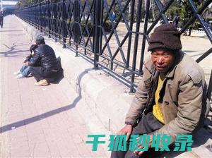 流浪动物救助：用爱心为每只流浪猫狗寻找温暖的家 (流浪动物救助中心)