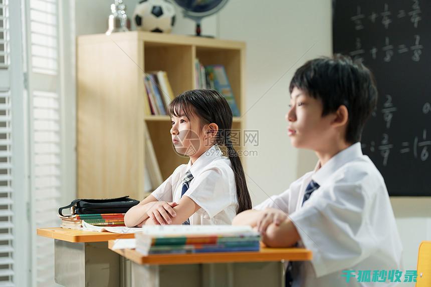 学生文具收纳指南：让学习用品井井有条 (学生文具收纳袋)