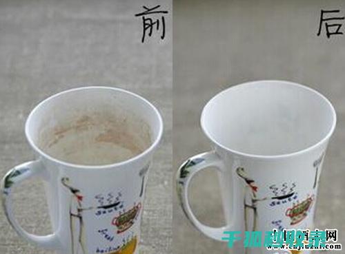 告别茶渍困扰