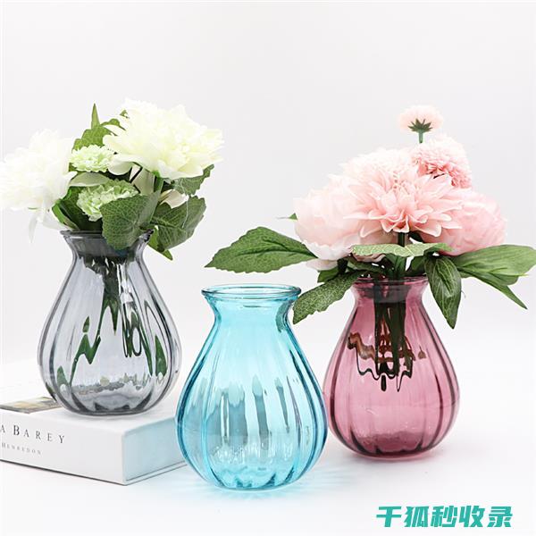 花瓶清洁大揭秘：从内到外的全面护理 (花瓶怎么清洗干净)