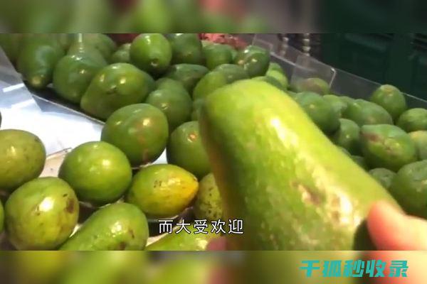 牛油果保鲜秘诀：防止氧化，让水果保持最佳状态 (牛油果保鲜方法)