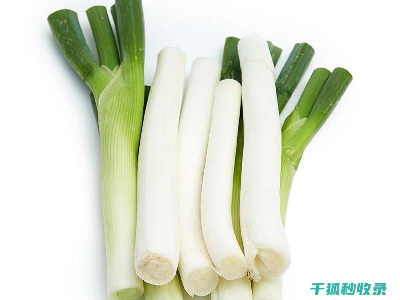 大葱保存方法：教你如何保存大葱更久 (大葱最好的保存方法)