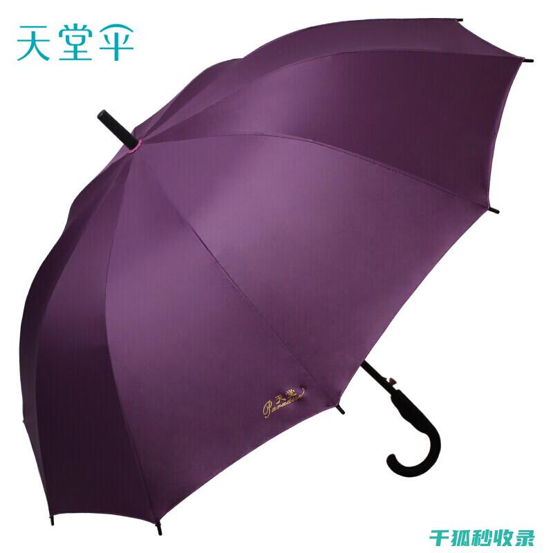 雨伞防水性能评测：哪些因素决定了实际效果？ (雨伞防水性能怎么样)