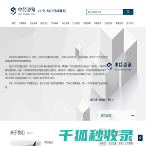 中经咨询