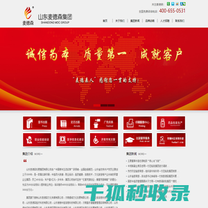 山东麦德森集团/出版印刷/中医药大数据/职业教育/医药健康/信息技术/文化旅游