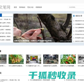 文笔网