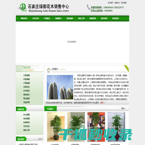 石家庄花卉租赁